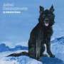 Advance Base: ANIMAL COMPANIONSHIP (Clear Vinyl), LP