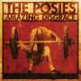 The Posies: Amazing Disgrace, LP
