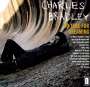 Charles Bradley: No Time For Dreaming, LP