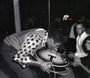 Soul / Funk / Rhythm And Blues: Eccentric Soul Vol.14, CD