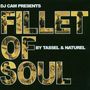 DJ Cam: Fillet Of Soul, CD
