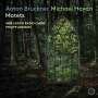 Michael Haydn: Motetten, SACD