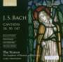 Johann Sebastian Bach: Kantaten BWV 34,50,147, CD