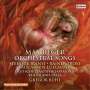 Max Reger: Orchesterlieder, CD