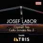 Josef Labor: Klarinettentrio e-moll, CD