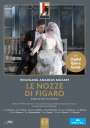 Wolfgang Amadeus Mozart: Die Hochzeit des Figaro, DVD,DVD