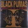 Black Pumas: Chronicles Of A Diamond (Clear Vinyl), LP