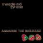 Mentallo & The Fixer: Arrange The Molecule (Limited-Edition), CD,CD