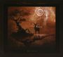 The Moon And The Nightspirit: Metanoia, CD