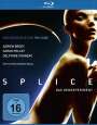 Vincento Natali: Splice - Das Genexperiment (Blu-ray), BR