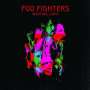 Foo Fighters: Wasting Light (180g), LP,LP