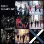 Blue Meadow: 39th & 8th, CD