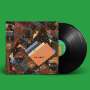 Animal Collective: Isn't It Now?, LP,LP