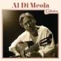 Al Di Meola: Collection, CD