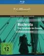 Friedrich Wilhelm Murnau: Nosferatu - Eine Symphonie des Grauens (Blu-ray), BR