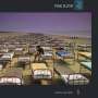 Pink Floyd: A Momentary Lapse Of Reason (remastered) (180g), LP