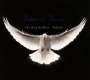 The Isley Brothers & Santana: Power Of Peace, CD