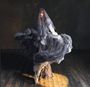 Keine Texte sichtbar. Eine Frau in einem fließenden, durchsichtigen Kleid steht auf einem Holzboden.
