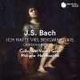 Johann Sebastian Bach: Kantaten BWV 21 & 42, CD