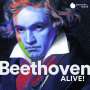 Ludwig van Beethoven: Beethoven Alive! (harmonia mundi-Sampler), CD,CD