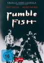 Francis Ford Coppola: Rumble Fish, DVD