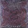 Unleashed: Victory (Crystal Clear W/ Silver & Red Splatter Vinyl), LP