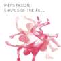 Piers Faccini: Shapes Of The Fall, LP