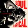 David Walters: Soul Tropical, LP,LP