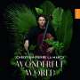 : Christian-Pierre La Marca - Wonderful World, CD,CD