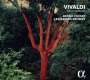Antonio Vivaldi: Sonaten für Cello & Bc RV 39,40,42-44,46, CD