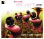: Magnifica Brass Quintet - Fantaisie Brillante, CD