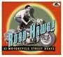 : Road Hawg!: 33 Motorcycle Street Beats, CD