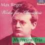 Max Reger: Werke für Klaviertrio, CD