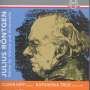 Julius Röntgen: Kammermusik für Violine & Cello, CD,CD,CD