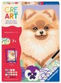 "CRE ART" in bunten Buchstaben, ein lächelnder Hund, Malen nach Zahlen Set, Pinsel und Farben abgebildet.