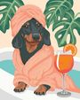 Ein Dackel trägt einen rosa Bademantel, sitzt im Spa. Im Vordergrund ein Cocktail mit Orangenscheibe. Tropische Blätter.