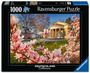 "FRÜHLING IN BAD CANNSTATT - DEUTSCHLAND Collection" zeigt Magnolien, eine Statue und ein historisches Gebäude.