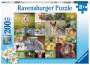 : Ravensburger Kinderpuzzle - 13353 Süße Tierbabys - 200 Teile Puzzle für Kinder ab 8 Jahren, Div.