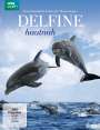 John Downer: Delfine hautnah, DVD