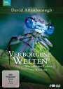 David Attenborough: Verborgene Welten - Das geheime Leben der Insekten, DVD,DVD