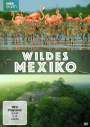 Victoria Bromley: Wildes Mexiko, DVD