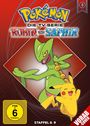 „POKÉMON DIE TV SERIE RUBIN UND SAPHIR“. Ein grünes und ein gelbes Wesen lächeln. „FSK ab 6“, „STAFFEL 6-9“.