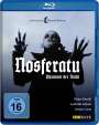 Werner Herzog: Nosferatu - Phantom der Nacht (Blu-ray), BR