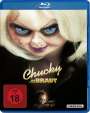 Ronny Yu: Chucky und seine Braut (Blu-ray), BR