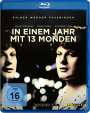 Rainer Werner Fassbinder: In einem Jahr mit 13 Monden (Blu-ray), BR