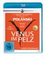 Roman Polanski: Venus im Pelz (2013) (Blu-ray), BR