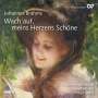 Johannes Brahms: Chorlieder "Wach auf, meins Herzens Schöne", CD