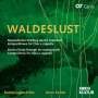 : Bundesjugendchor - Waldeslust, CD