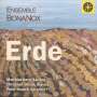 : Ensemble BonaNox - Die vier Elemente: IV. Erde, CD