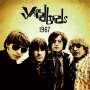 The Yardbirds: 1967 - Live (remastered) (180g) (Limtied Edition) (Translucent Orange Vinyl), LP